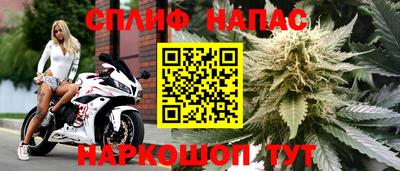 PSILOCYBIN Ирбит